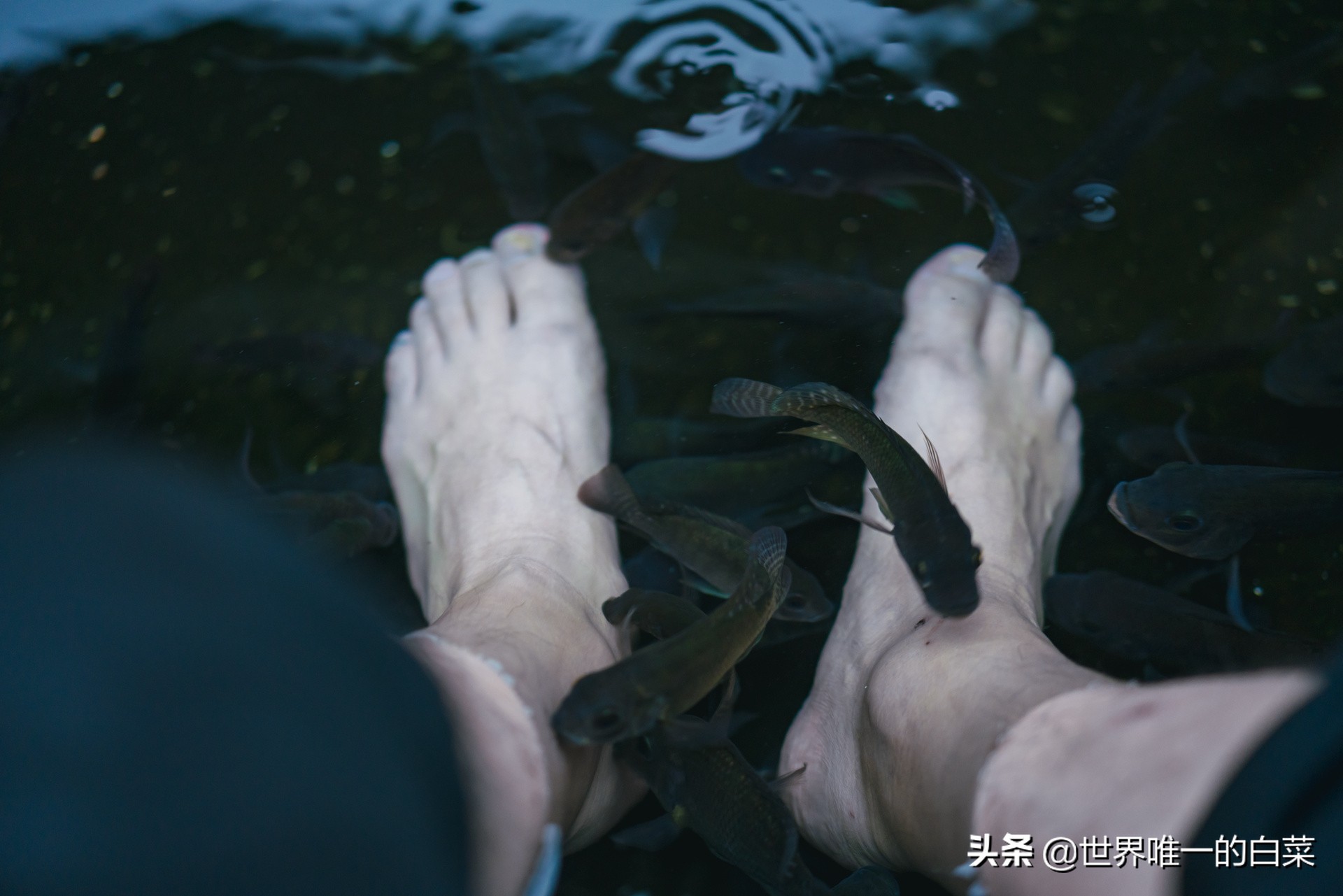 康定情歌川西旅游,318川西康定木格措
