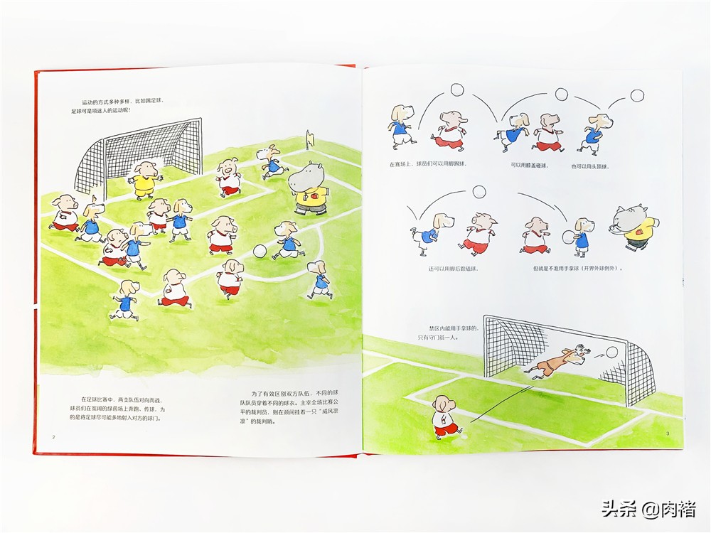 让孩子发现运动的乐趣并爱上运动,蠢萌动物