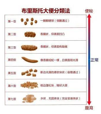 宝宝便秘拉羊屎蛋是什么原因,宝宝羊屎蛋治便秘最快的方法