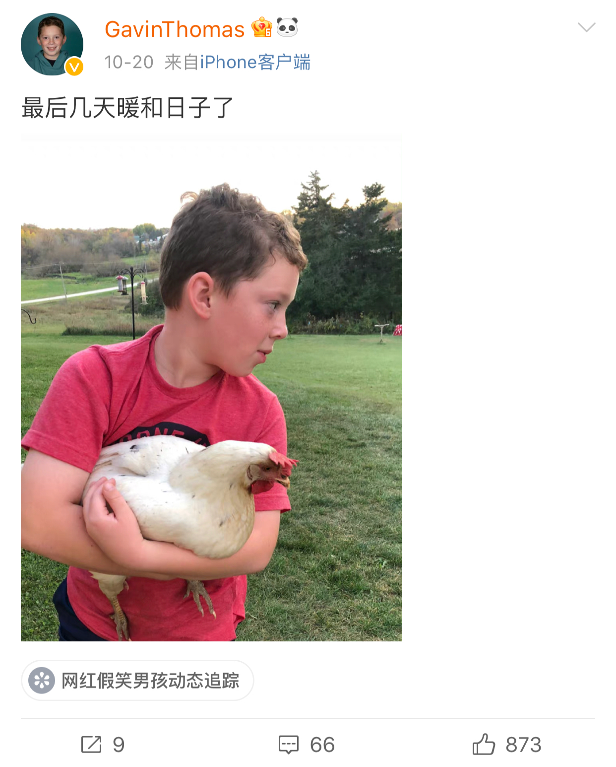 退圈读书、捞快钱、疑似“秃顶”，“表情包”萌娃现状大不同