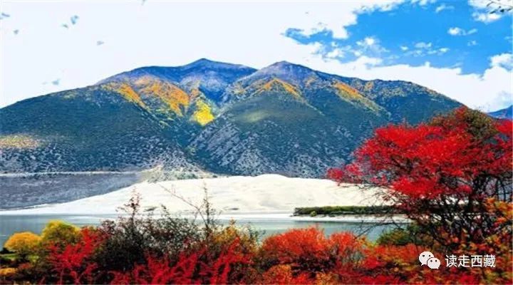 鲁霞美景,鲁霞村风光