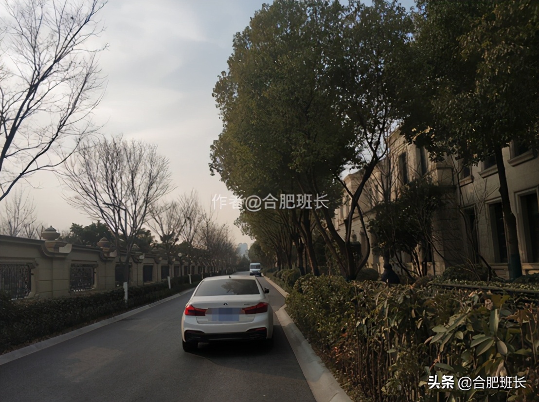 可以传世的房子格局,合肥汤臣一品海景房