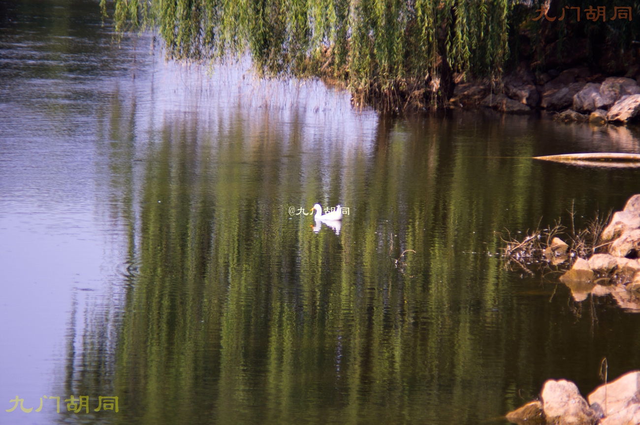 北京密云张裕爱斐堡酒庄一日游,密云张裕爱斐堡酒庄好玩吗