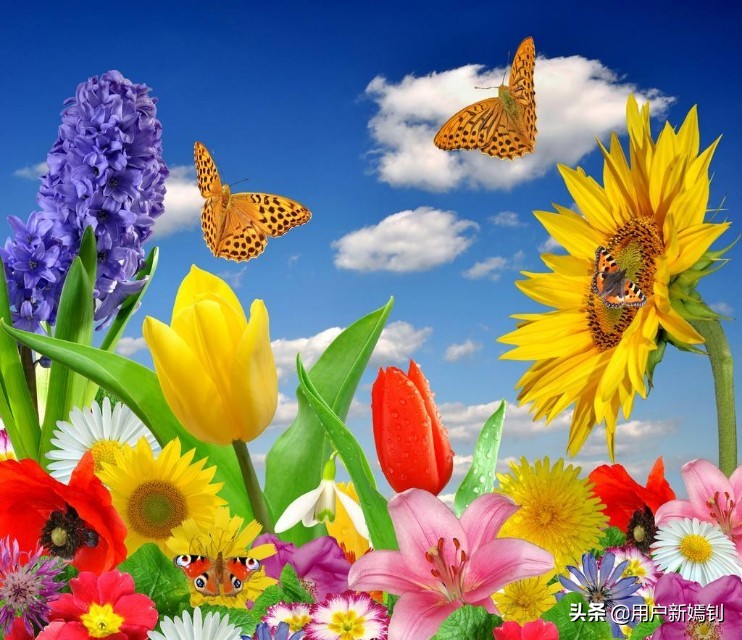 喜欢一个人得不到又放不下怎么办,喜欢她却得不到她