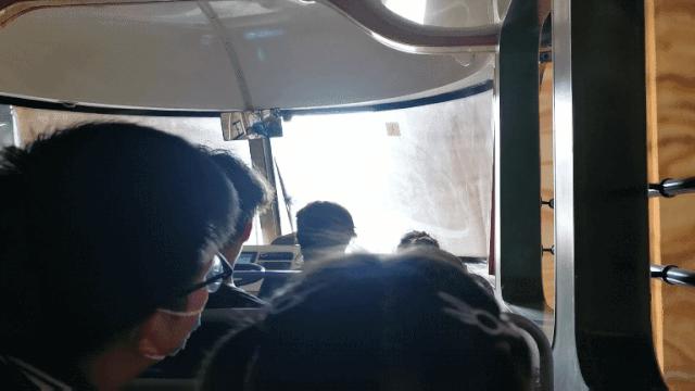 野生动物王国值不值得去,北方新开的动物王国