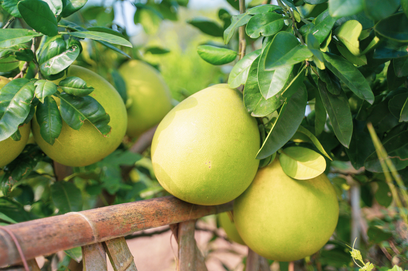 不仅仅是皮革，海清潮静——海宁