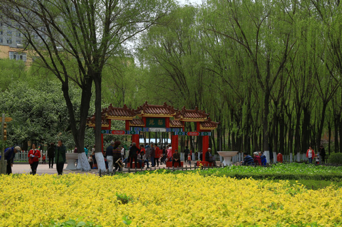 哈尔滨市内环境,哈尔滨一年四季的现状