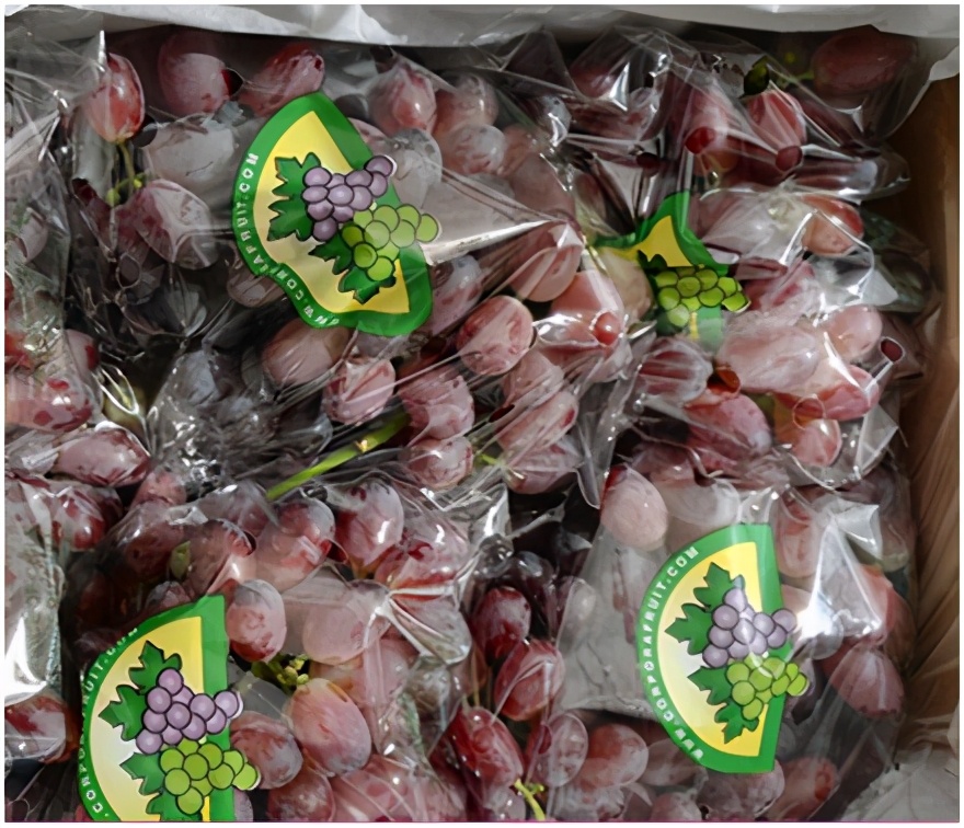 进口提子哪些品种 (进口提子品种及图解)