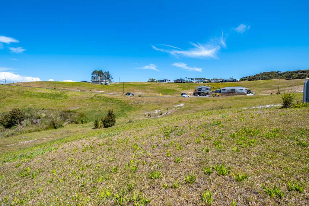 100万人民币在新西兰能买多大房子,100元能在新西兰买些什么
