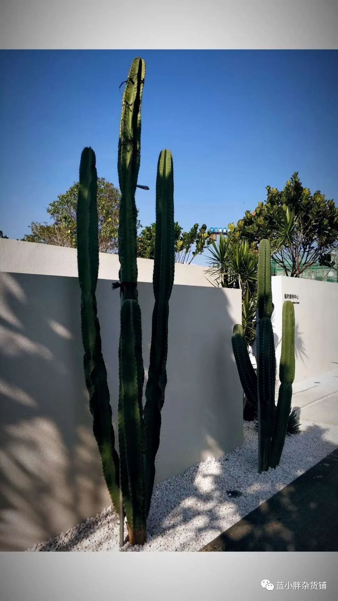 阿那亚网红打卡地怎么发朋友圈,打卡阿那亚海滩