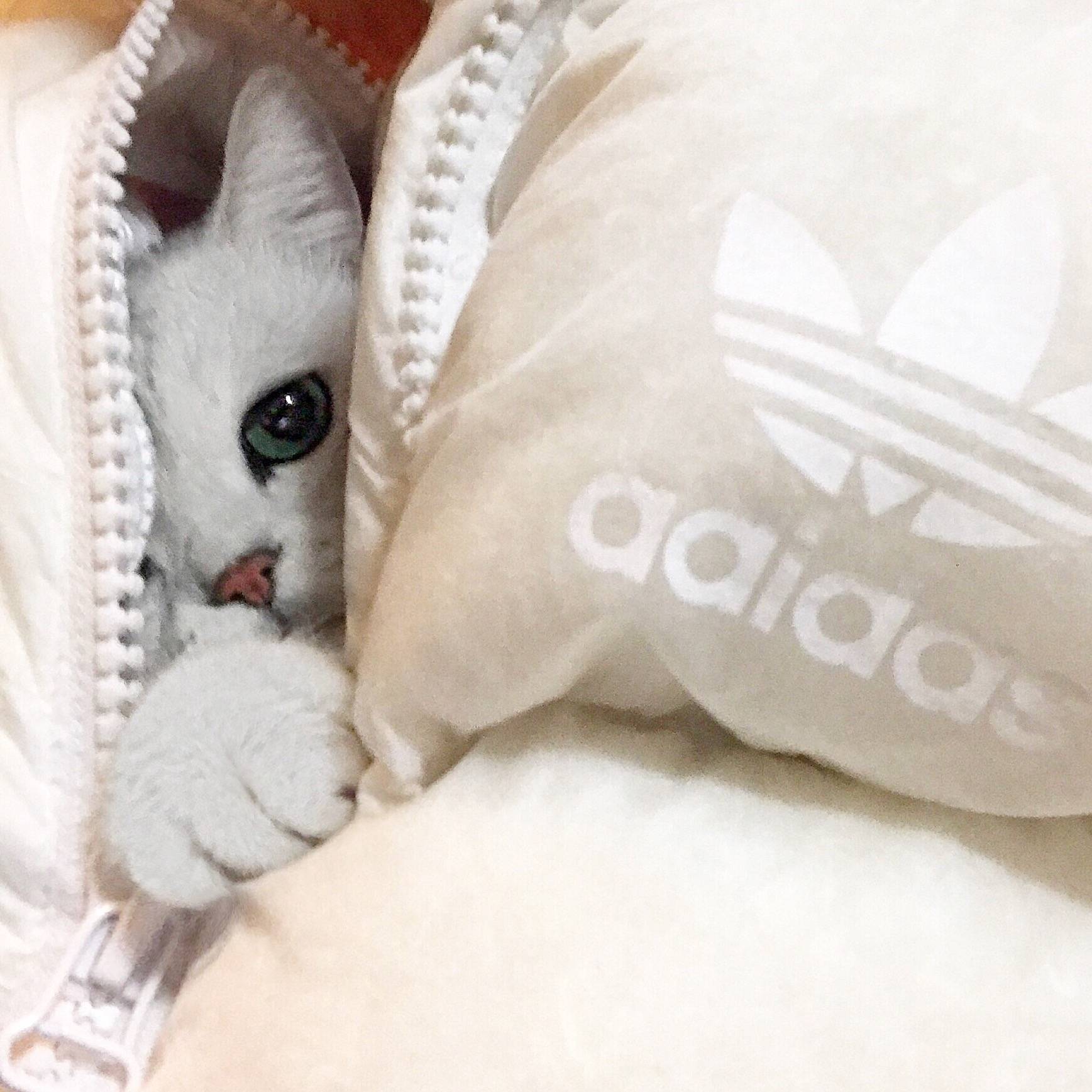 微信聊天背景图简单小图,朋友圈背景图微信聊天背景图