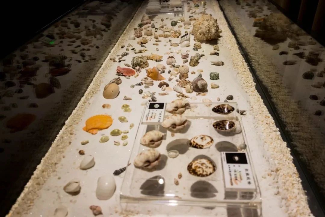 深圳旅游攻略地铁沿线景点,深圳市地铁2号线打卡的24个景点