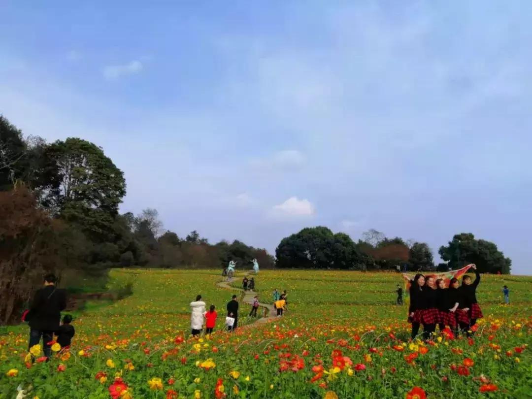 美丽中国一起去看流星雨,美丽中国一起走背面视频