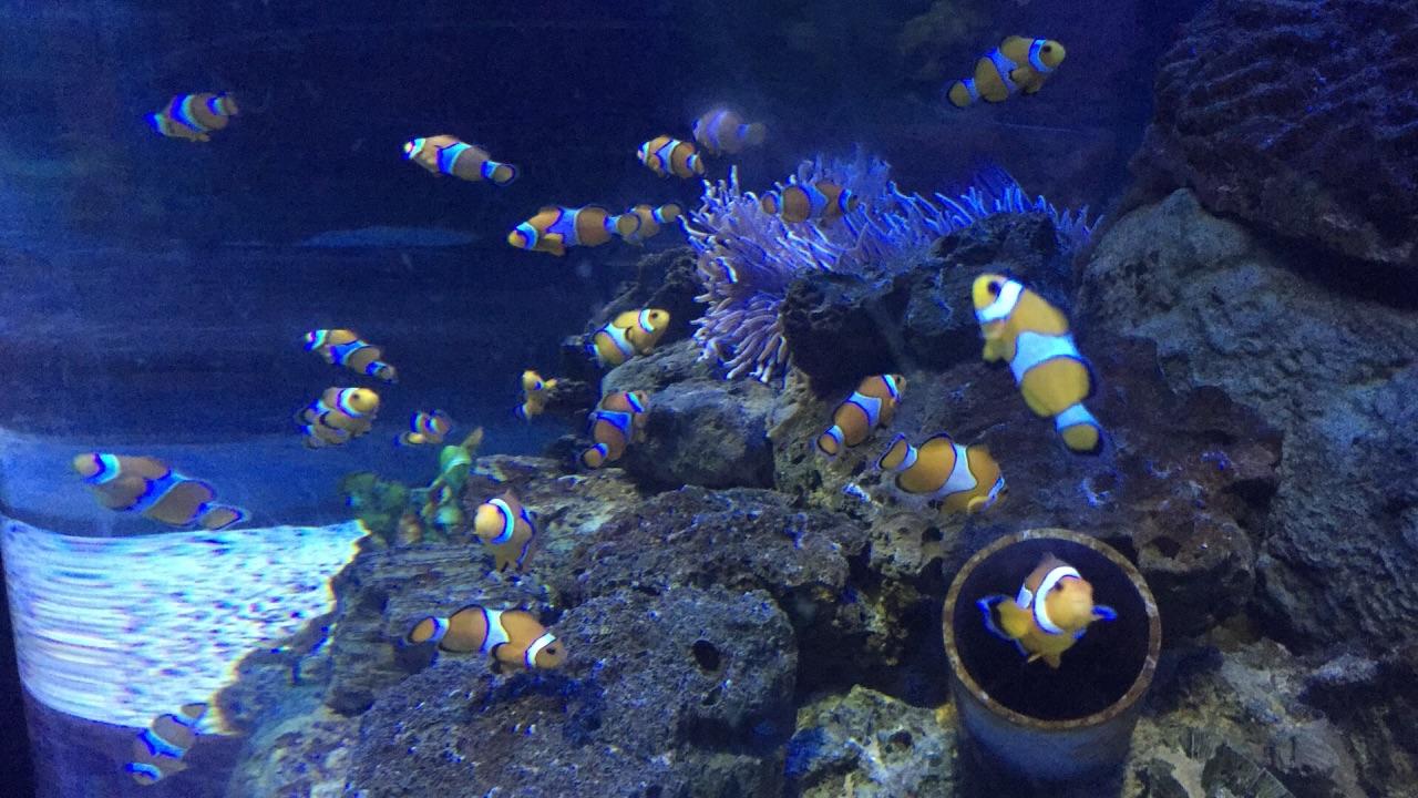 五一适合亲子游的五日游,亏欠孩子的时光用什么补