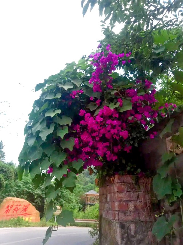 璇楃ぞ閲囬娲诲姩,浼楀垱璇楃ぞ涓冨緥