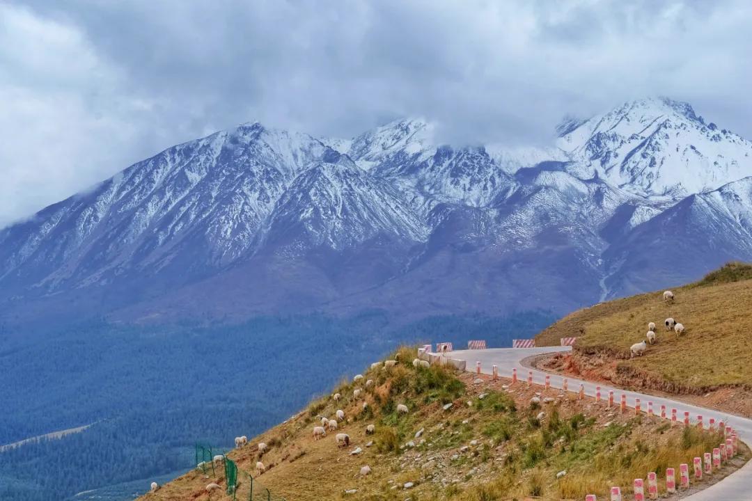 青海西宁大西北明珠,青海西宁最大的魅力