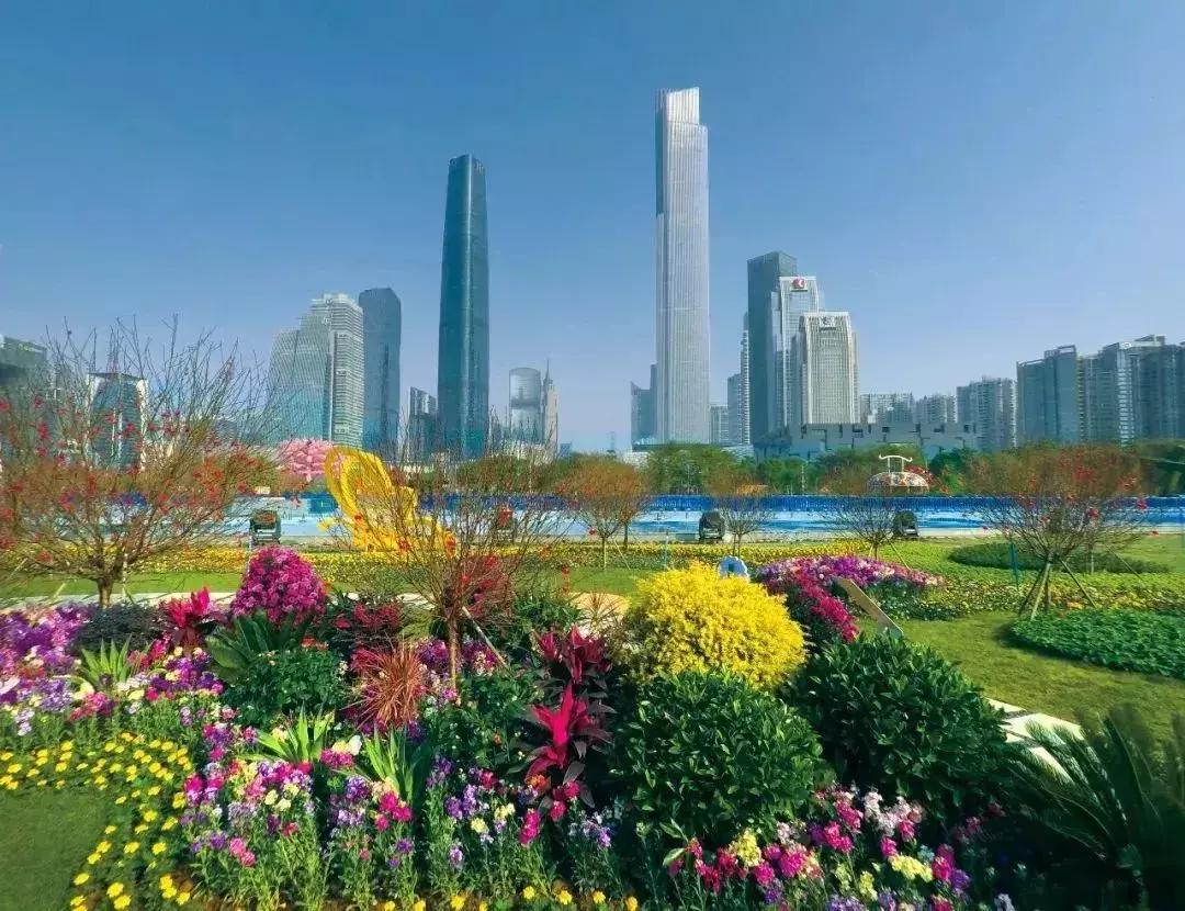 广州现在赏花哪里最好,广州各区赏花全指南