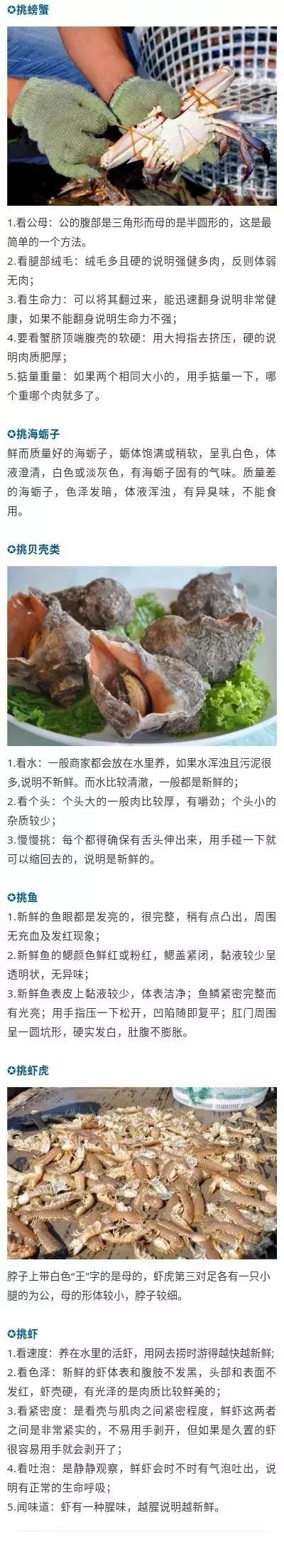 青岛开海了新鲜肥美的海鲜已上市,青岛开海红岛海鲜八大关