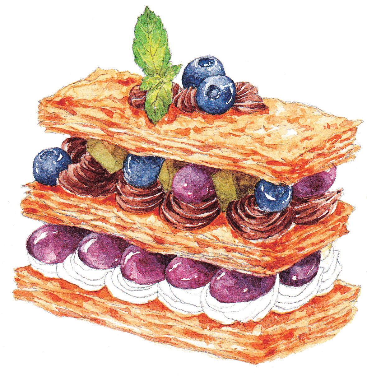 水彩葡萄蛋糕画法,水彩精致甜品教程