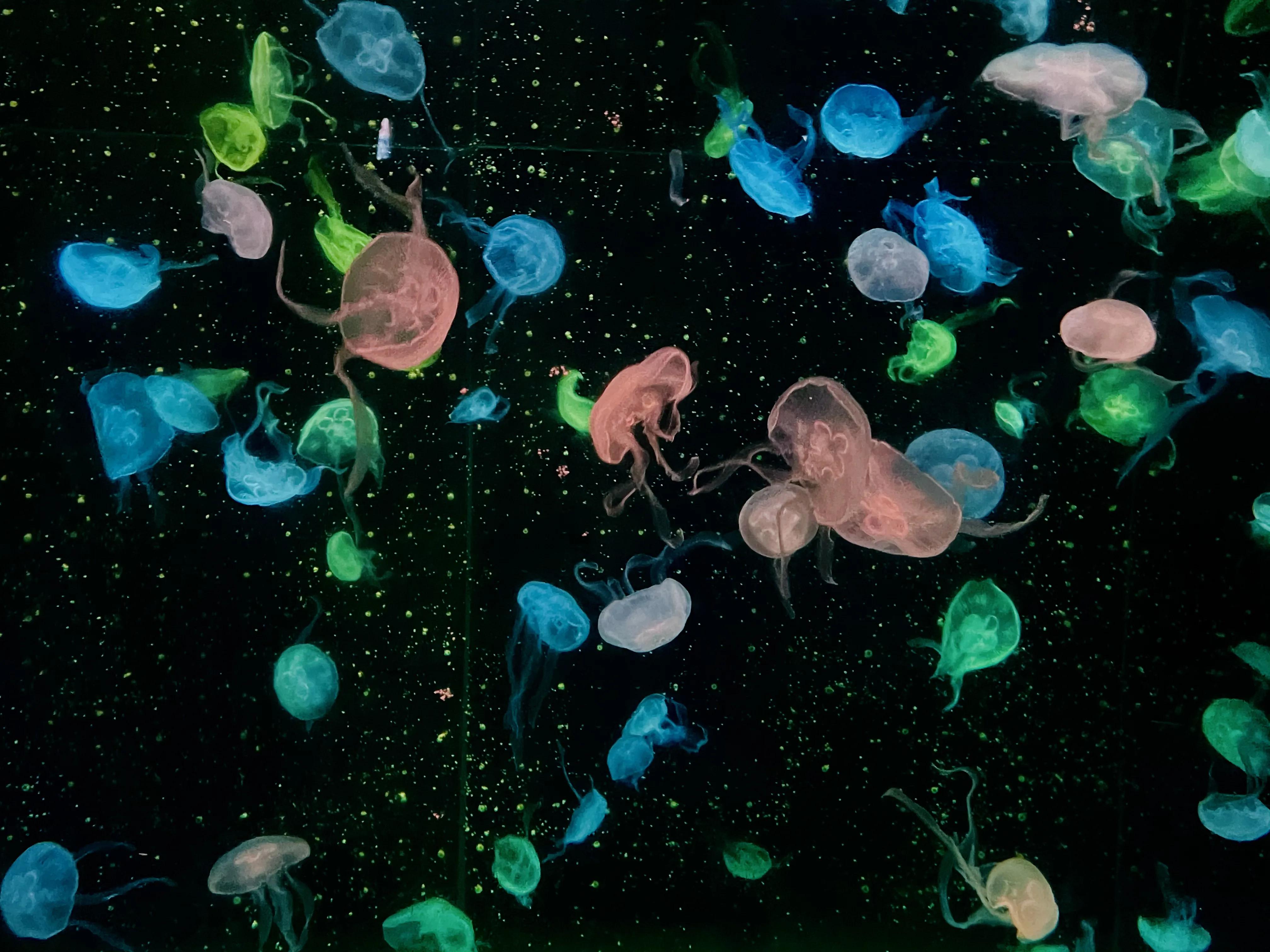 珠海长隆旅游攻略带孩子一日游,珠海长隆马戏团游记