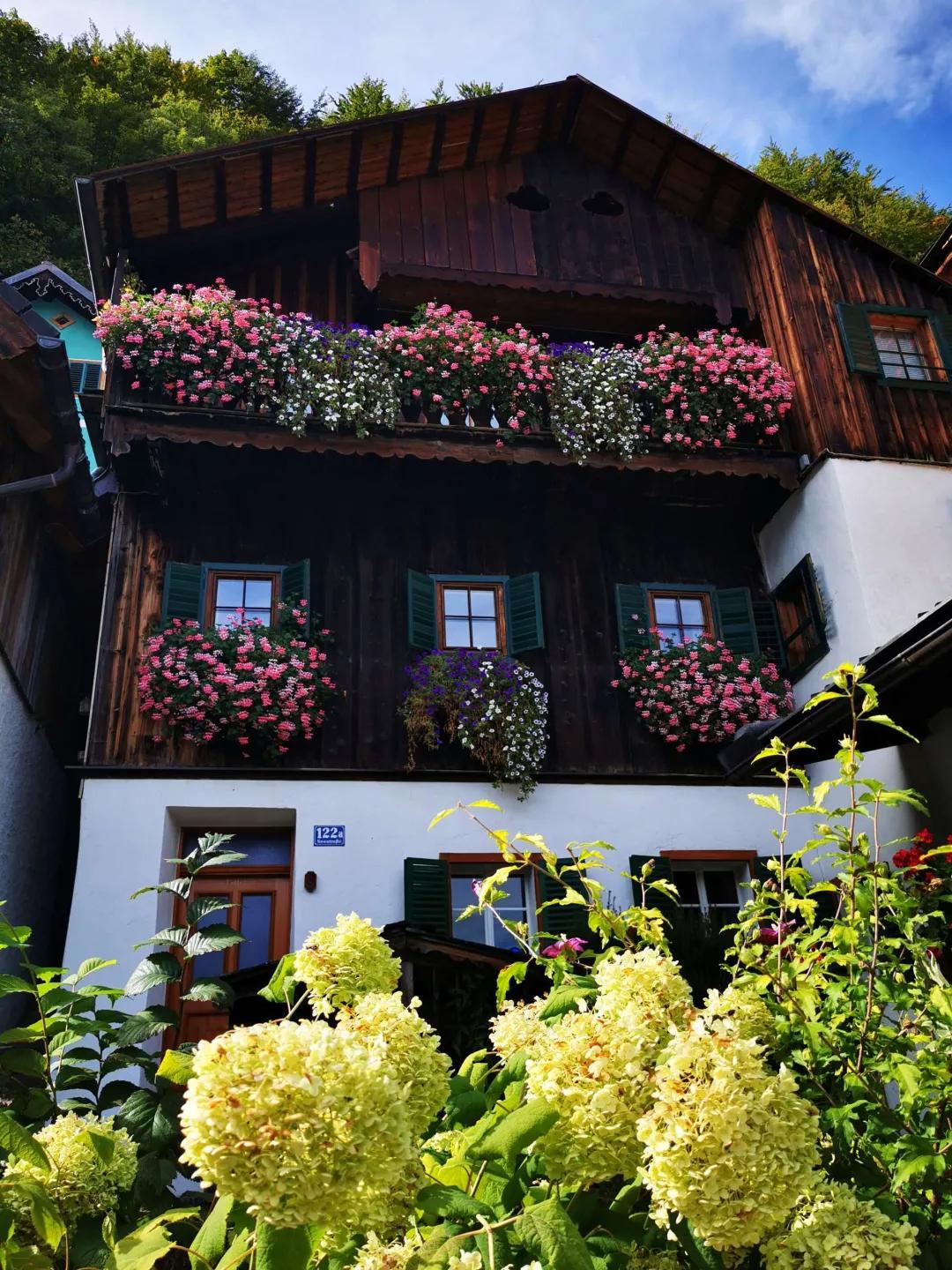 北方一年四季都开花的花园,东北花园四季开花植物