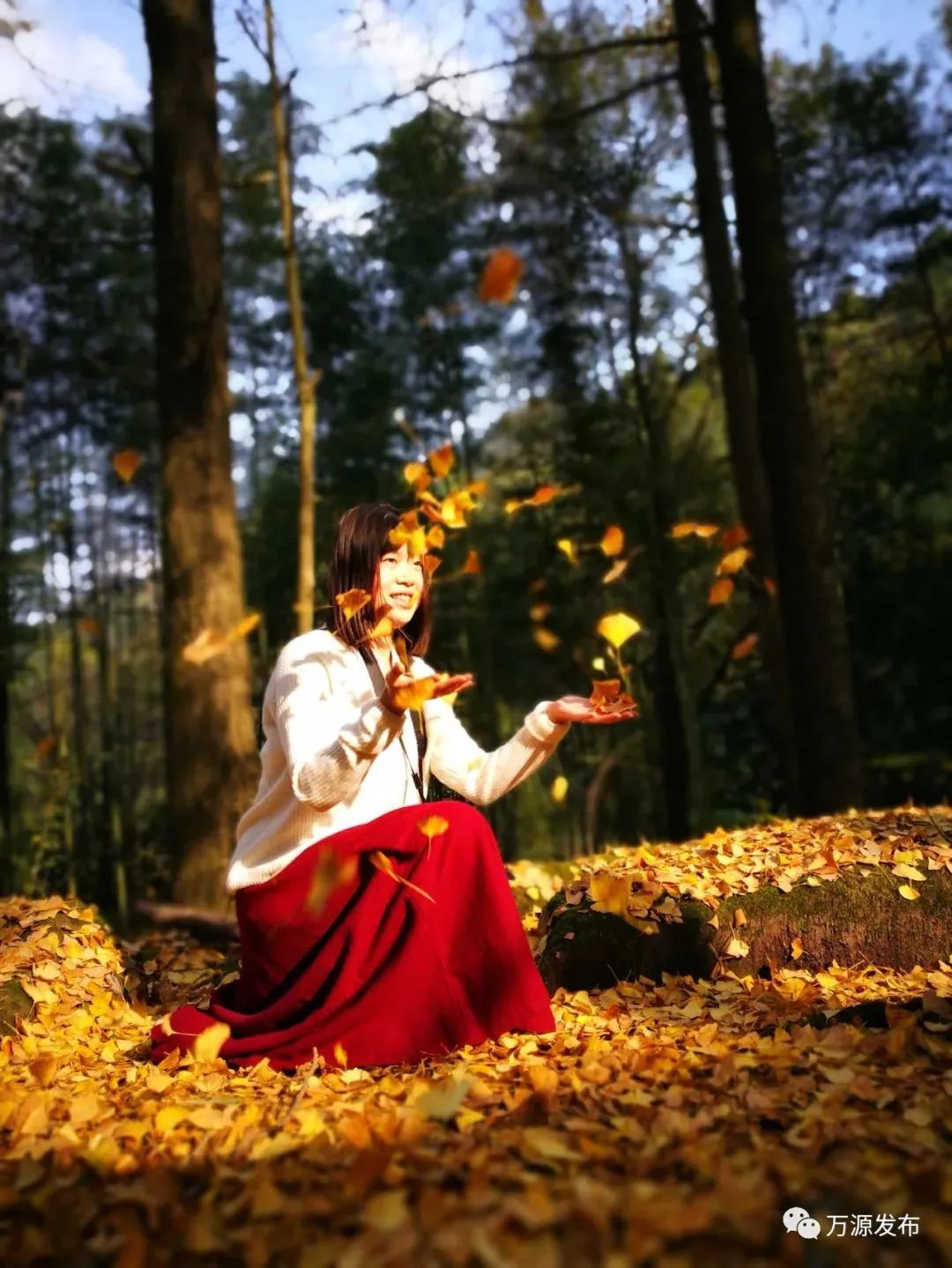 看万山红遍层林,看漫山红遍层林尽染国画