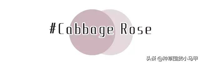 专柜卖假货,卖假货到底该不该硬气回应