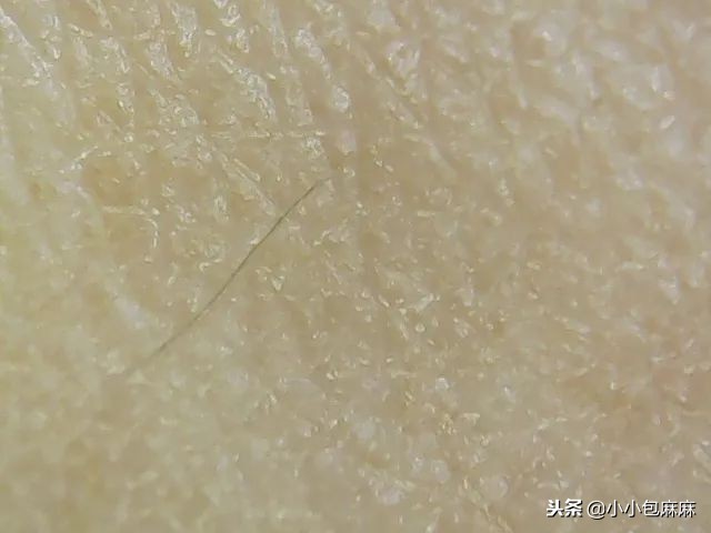 安全平价的国货宝宝霜,网红宝宝霜哪个牌子好用