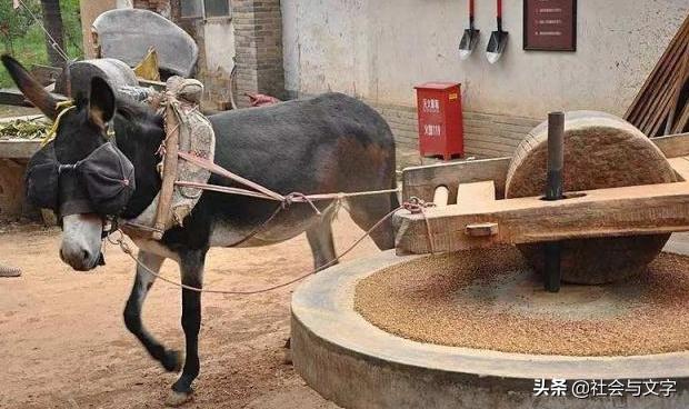 时运不济怎么及时化解,时运不济该怎么开导自己