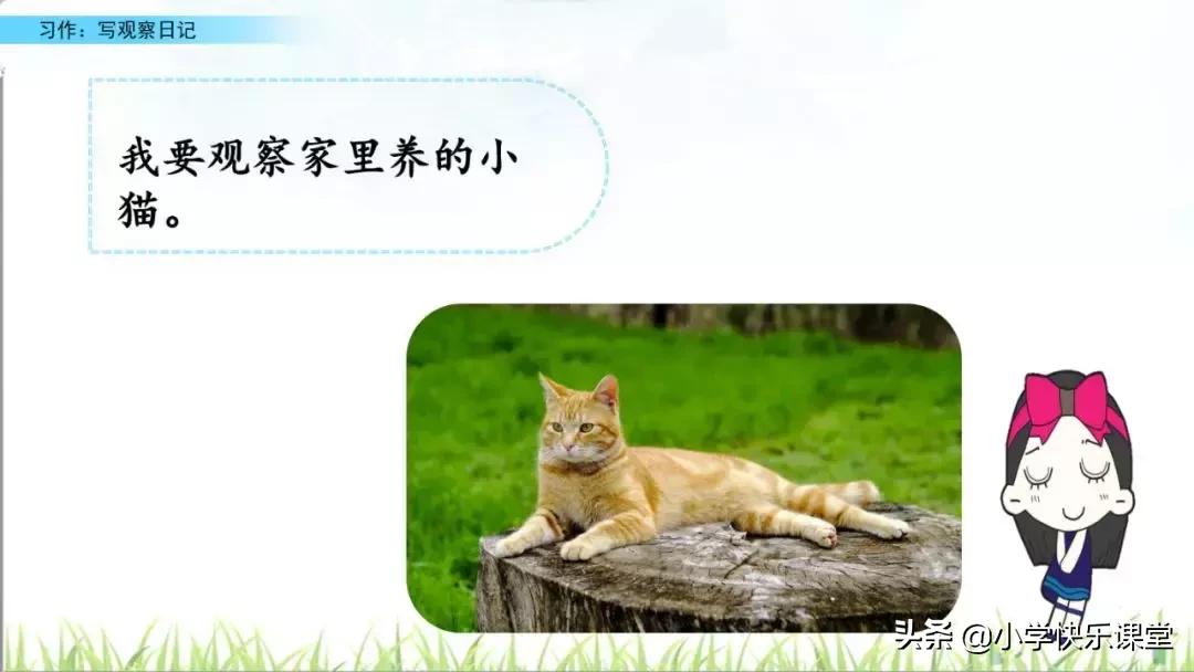 四年级语文第三单元观察日记作文,四年级观察日记400字优秀作文植物