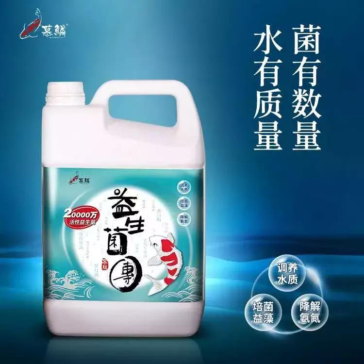 庭院锦鲤鱼池过滤改造,小院锦鲤鱼池建造过程