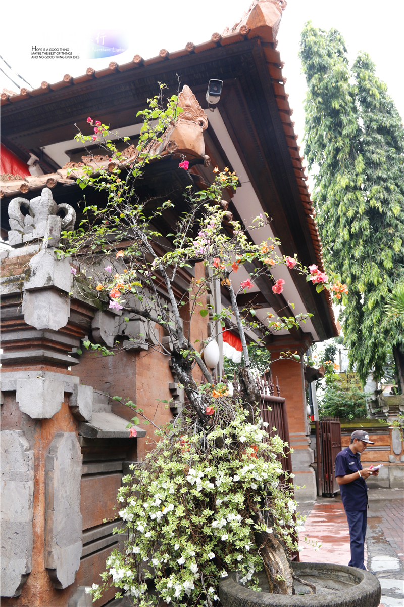 在印尼见识传说中最昂贵的猫屎咖啡