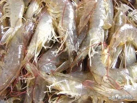 各国海鲜大盘点,今年过年最值得入手的海鲜