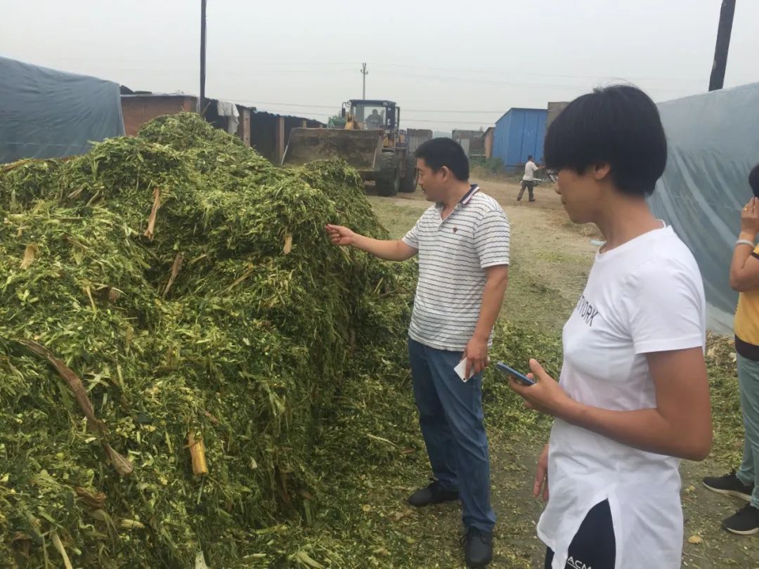 杨建辉最近视频,杨建辉的作品