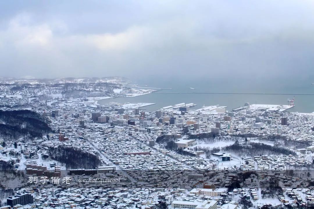 日本10天自由行费用北海道,东京北海道5日自由行攻略