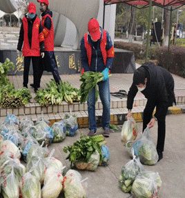 基层工作者的这些“智慧”，让人赞着赞着就哭了