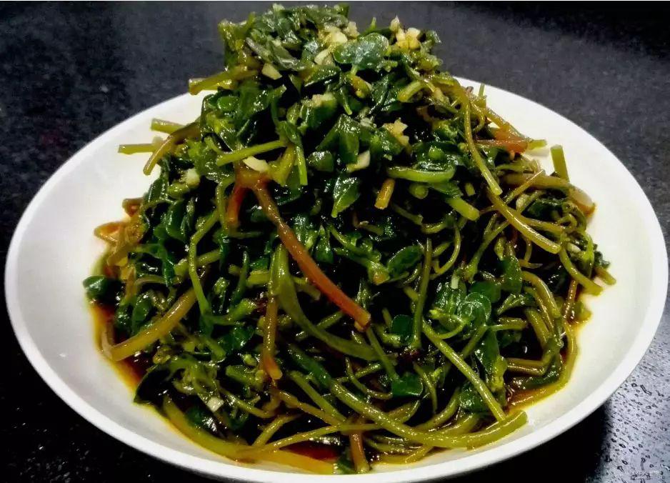 帮助老人身体恢复的中草药,农村老人放弃治疗回家