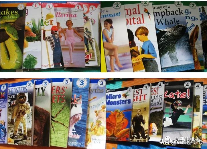 如果要推荐一本书要怎么推荐才好,如果一定要看一本书应该看什么书