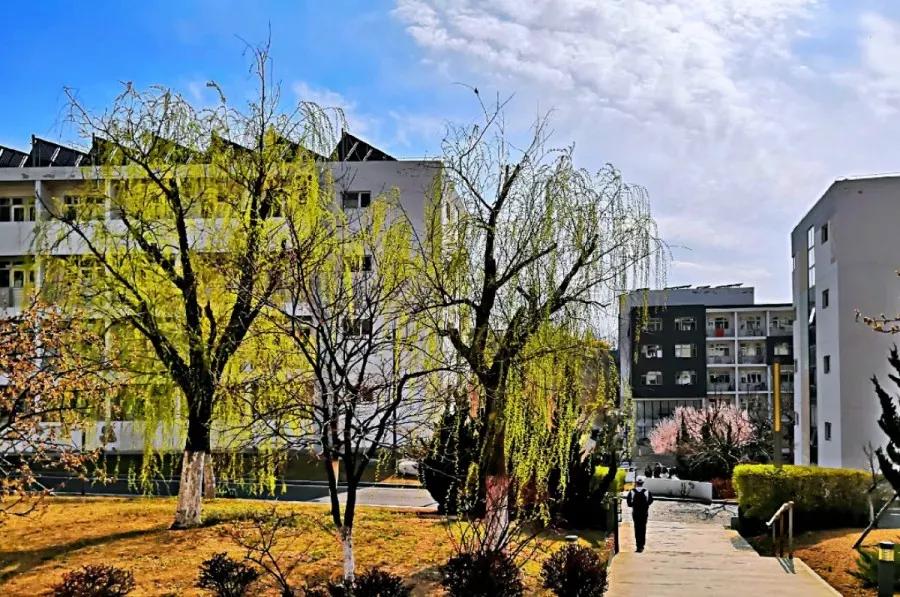 辽宁省高校（三十一）大连医科大学