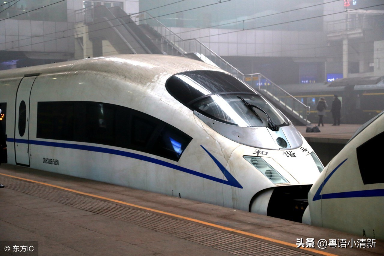 每天学个撸车冷知识,撸猫你不知道的几条冷知识