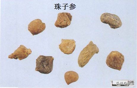 中药材伪品太多，俗有南国神草之称的三七，就有十多种假货