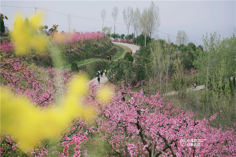 秦岭里的世外桃源,藏在秦岭深处的世外秘境