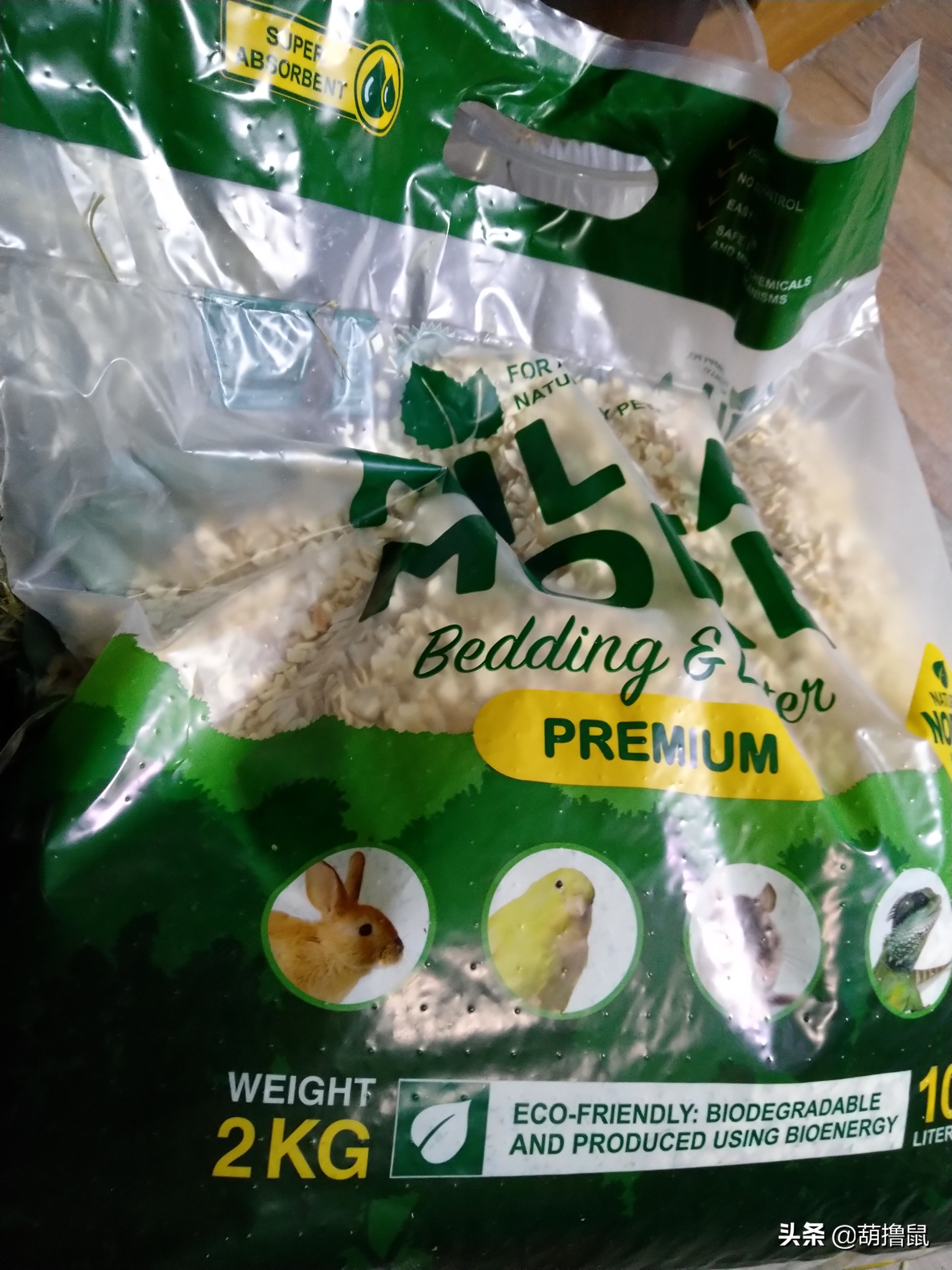 仓鼠繁育注意事项,仓鼠怀孕后的注意事项