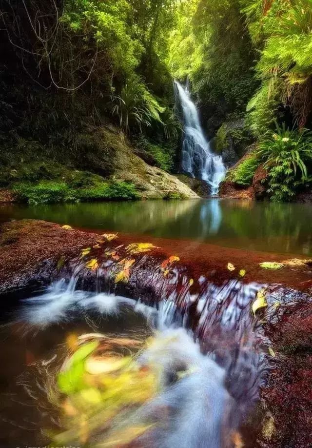 「儿童主播刘释文」《我赞美世界》文：顾城