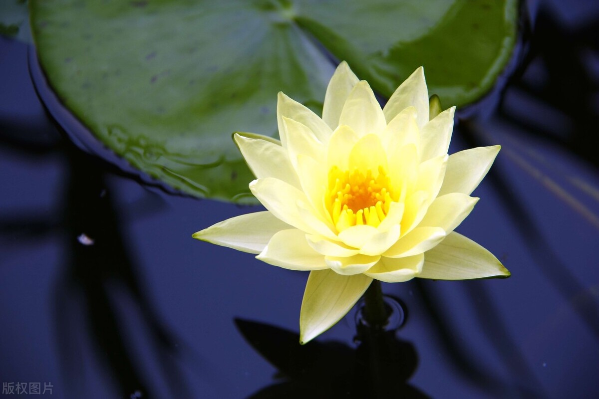 伤害最深的人往往是自己最亲的人,最亲的人让我心寒了怎么办