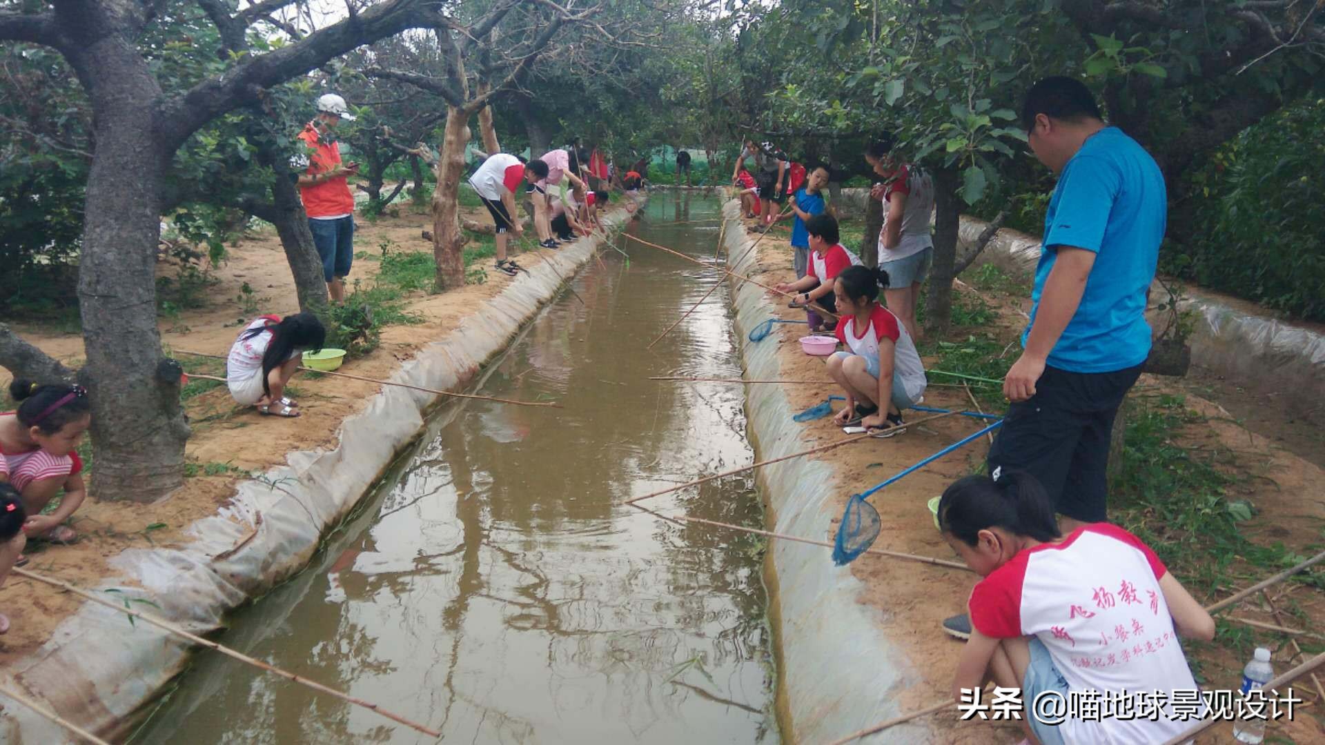 美丽乡村的盈利项目,美丽乡村项目的成功案例