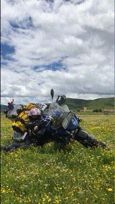 京东plus会员有爱奇艺会员怎么领,京东plus会员是钻石会员吗