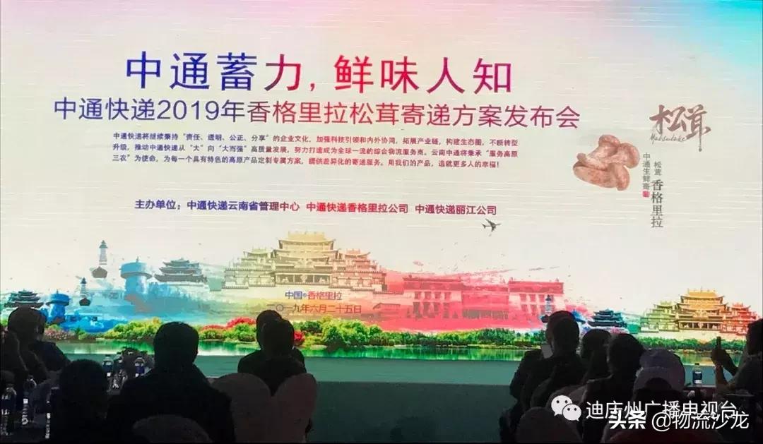 敢为天下鲜!中通快递发布2019年「香格里拉松茸」寄递方案