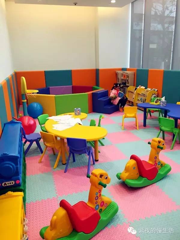 苏州带宠物去的古镇,苏州小众宠物乐园推荐