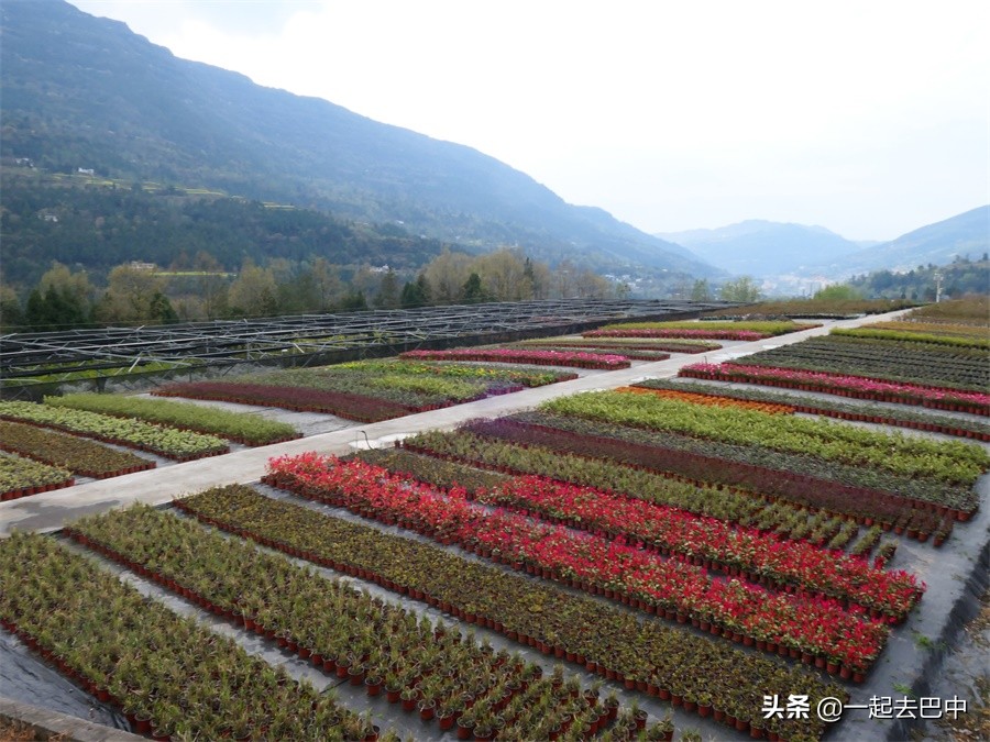 向幸福出发松潘,巴中南江旅游景点